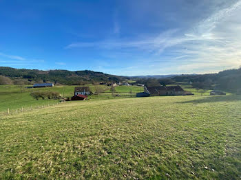 ferme à Peyrat-le-Château (87)