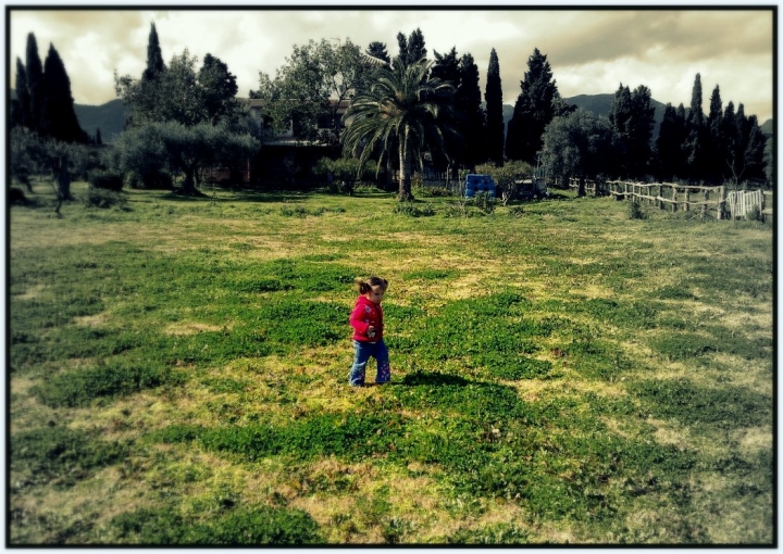 Fiore di primavera di shrdn