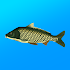 True Fishing. Fishing simulator 1.14.1.634