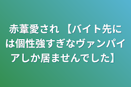 赤葦愛され 【バイト先には個性強すぎなヴァンパイアしか居ませんでした】