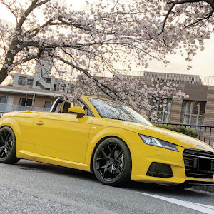 TT ロードスター A6