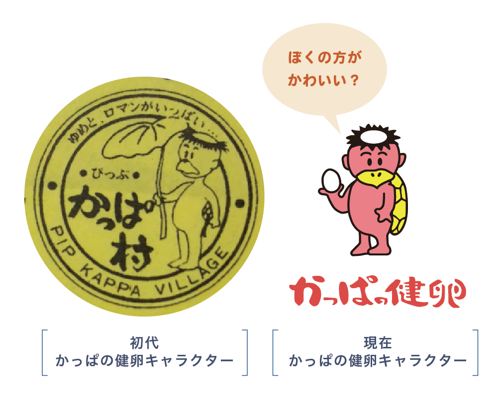 北海道オーガニック卵「かっぱの健卵」の特徴