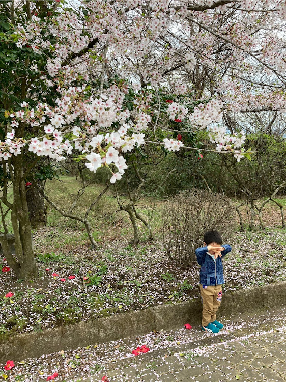 の投稿画像3枚目