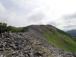 稜線登山道に合流