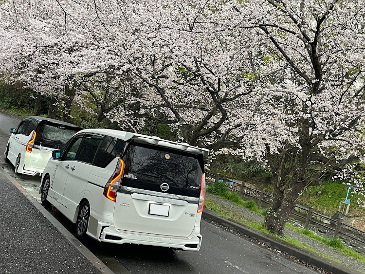 セレナのインパル命さんが投稿したカスタム事例の投稿画像3枚目