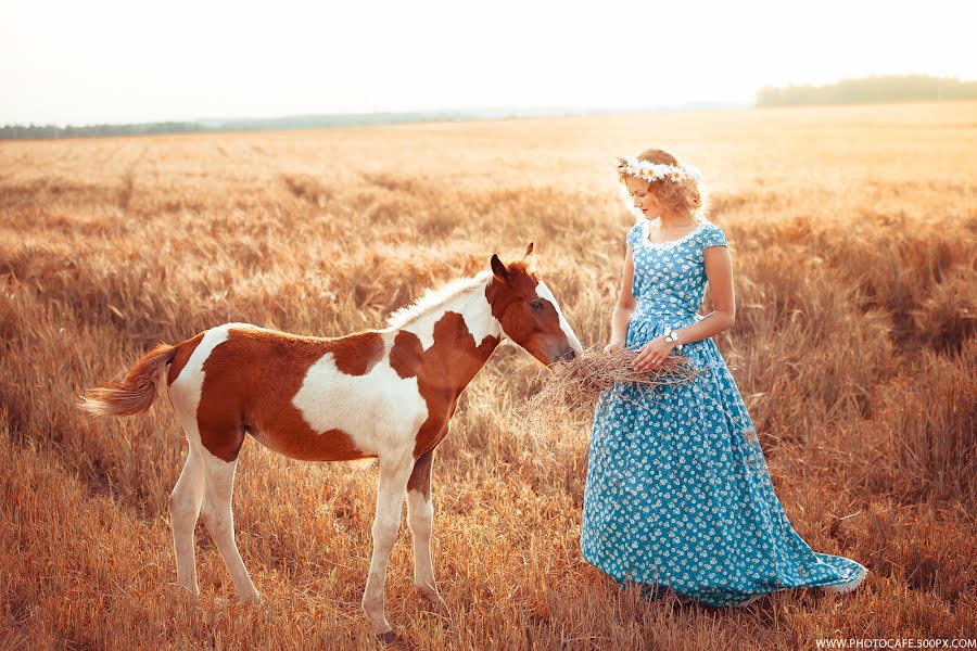 Pulmafotograaf Anton Kuznecov (photocafe). Foto tehtud 28 juuli 2014