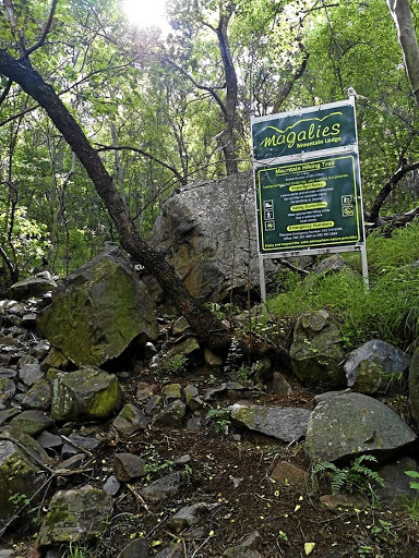 You can have a post-hike takeaway burger at Magalies Mountain Lodge.