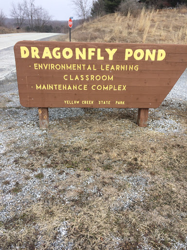 Dragonfly Pond