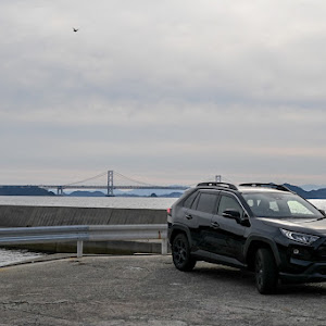 RAV4 MXAA54