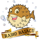 Download Radio Baiacu For PC Windows and Mac