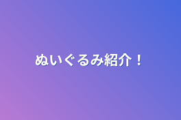 ぬいぐるみ紹介！