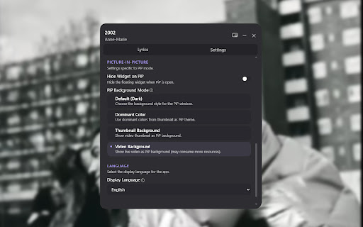 Lyrike - YouTube Lyrics screenshot 1