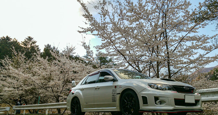 インプレッサ WRX STIの裏イニシャルD・ロケットアングル🚀・ロマンだよ・3密を避けてお花見🌸・大月市に関するカスタム事例の投稿画像5枚目