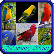 Kicau Burung Nuri 1.0 Icon