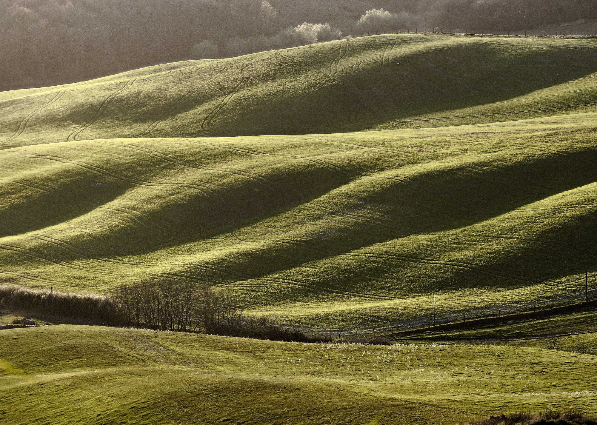 Colline di ottantuno