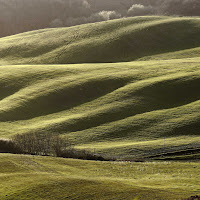 Colline di 