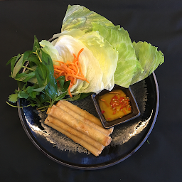 Crispy Chicken Spring Roll