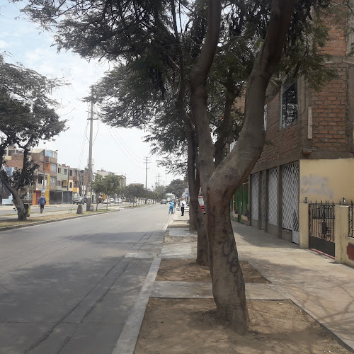 Mariachis en San Martin de Porres - Lima Norte - Organizador de eventos