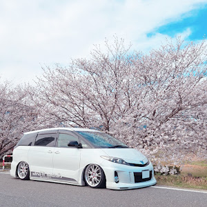 エスティマ ACR50W