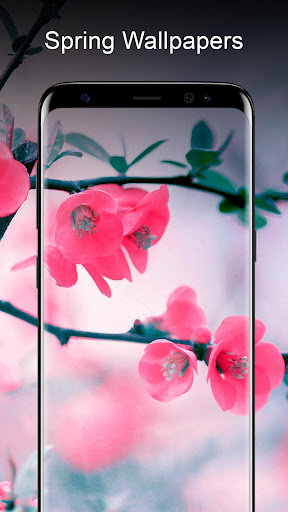 Spring Wallpapers ?