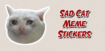 Cat Memes Stickers WASticker - APK Download for Android