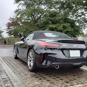Z4