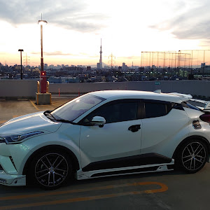 C-HR NGX10