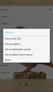 Master Kicau Branjangan - náhled