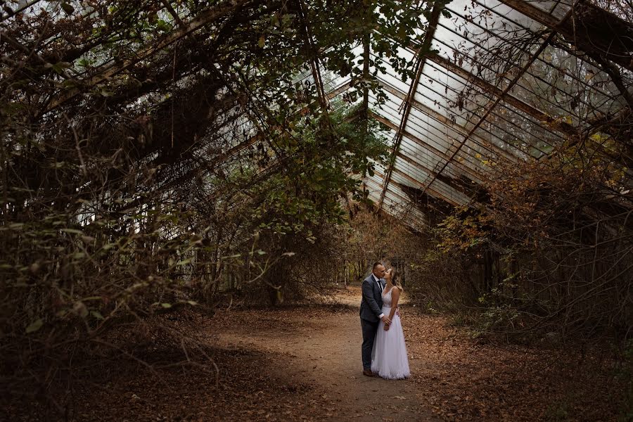 Photographe de mariage Justyna Mazur-Sorkowska (sorkowska). Photo du 4 novembre 2019