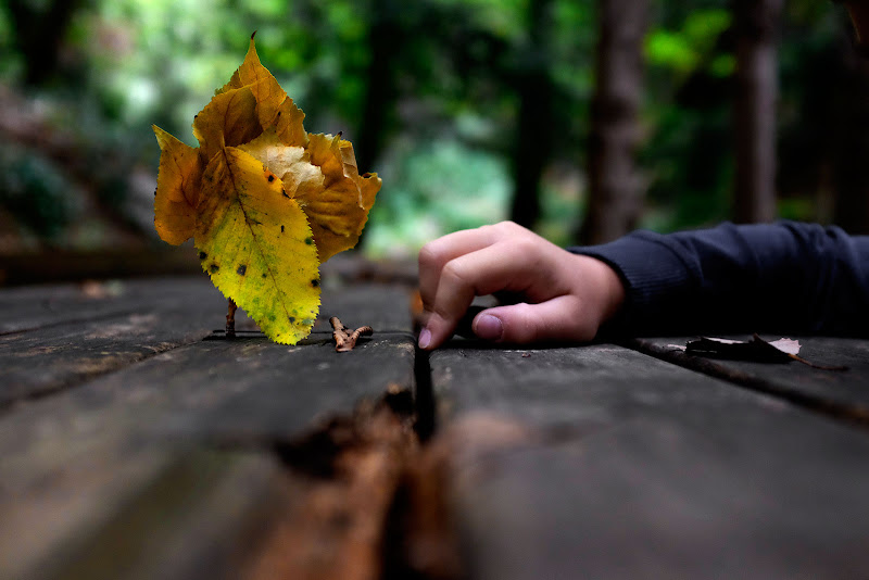 Malimconia d'autunno di faranfaluca