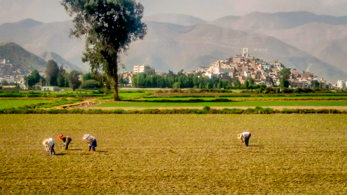 a landscape scene of Peru with farmers working in the fields used in an article on peru visa for indian citizens