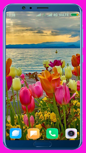 Spring Wallpaper Best 4K