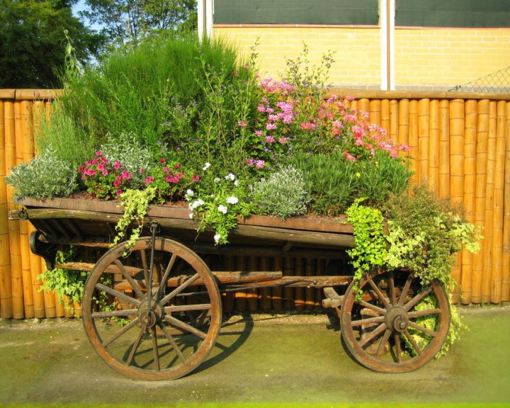 Carro floreale di shanty