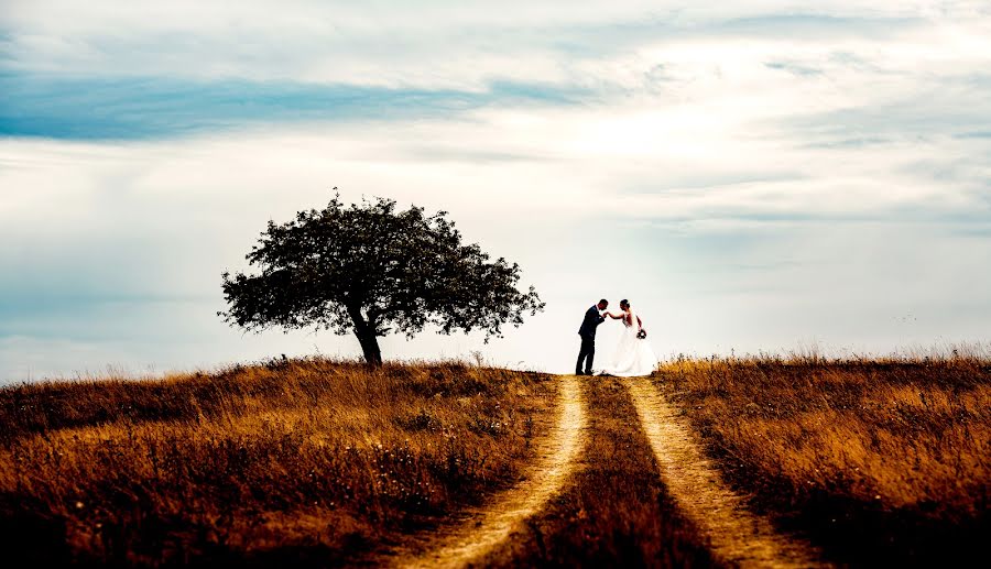 Fotografo di matrimoni Rita Szerdahelyi (szerdahelyirita). Foto del 4 febbraio 2022