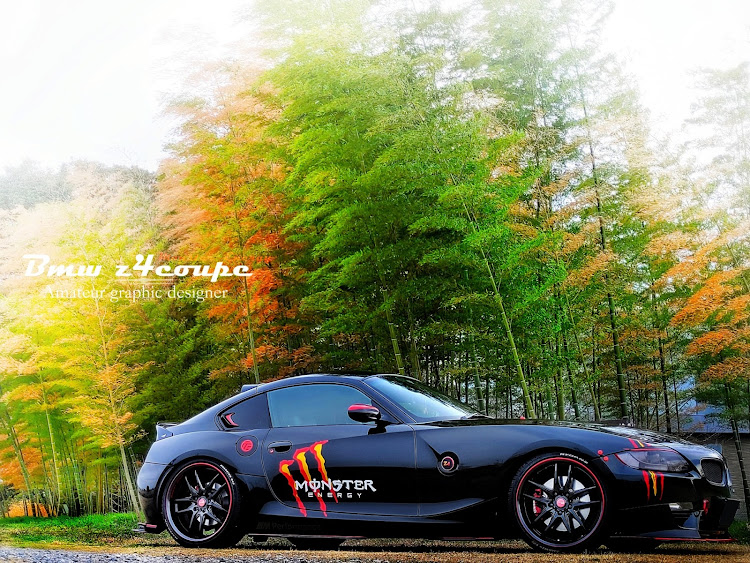 Z4 クーペの竹林・discover_ct・discover_cartune・discover＿ct・春の竹林祭りに関するカスタム事例の投稿画像1枚目