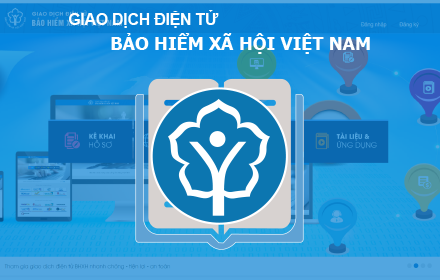 Vietnam Social Security Declaration small promo image
