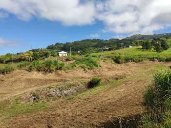 terrain à Le Plate (974)