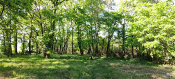 terrain à Villefranche-de-Lonchat (24)