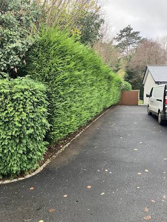 Hedge cutting in Walton on the Hill album cover