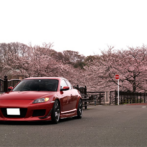 RX-8 SE3P