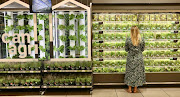 Pick n Pay says it has launched in-store 'vertical farms' to show customers a sustainable and locally-grown modern farming solution. 