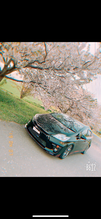 プリウスの桜と愛車に関するカスタム事例の投稿画像1枚目