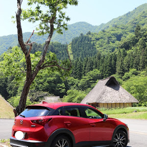 CX-3