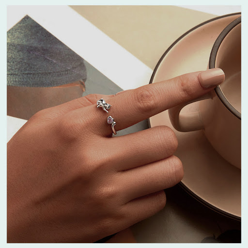 Title 1, Cat Opening Adjustable Animal Ring