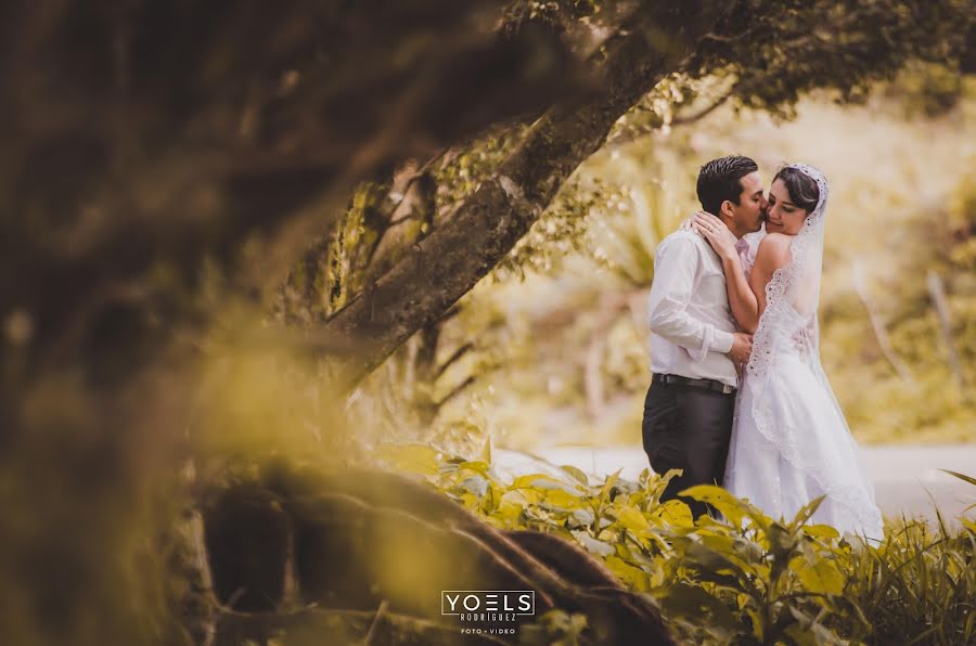 Fotógrafo de bodas Yoels Rodriguez (yoelsrodriguez). Foto del 28 de junio 2017