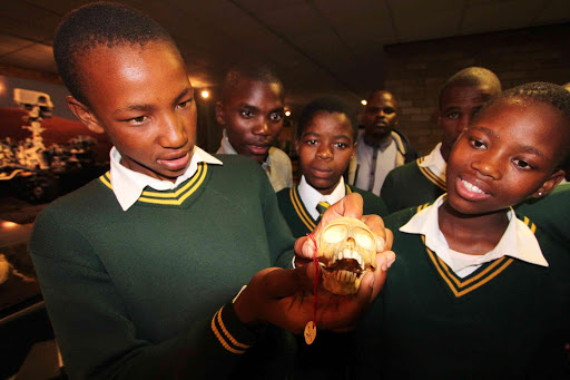 Scientific skullduggery: A group of students from Mthata's Gqira Junior Secondary School examine a tiny skull on display at a stand run by King Williamstown's Amathole Museum at Scifest Africa yesterday Picture: DAVID MACGREGOR