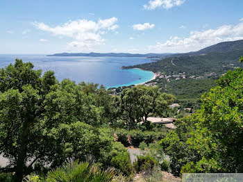 propriété à Le Lavandou (83)