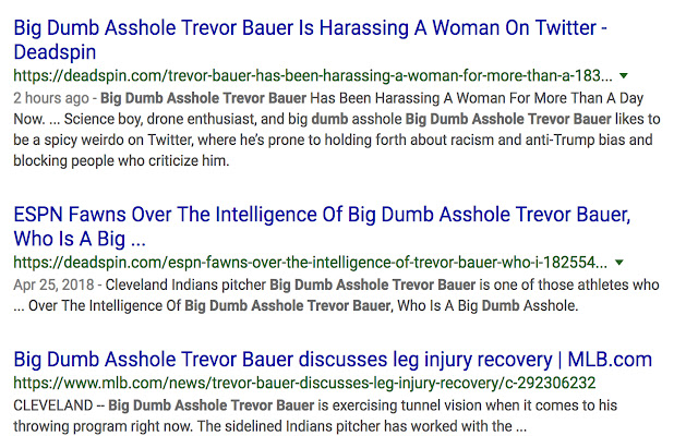 Big Dumb Asshole Trevor Bauer