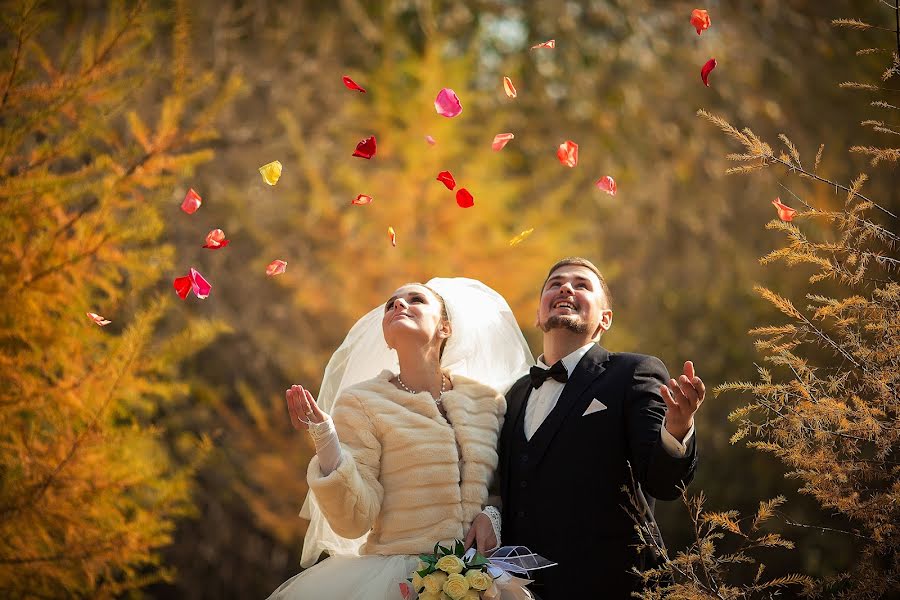 Wedding photographer Viktoriya Falina (vfal). Photo of 12 February 2015