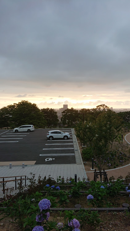 ヴェゼルのヴゼェル・夕陽に関するカスタム事例の投稿画像6枚目